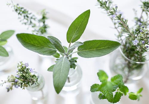 Can natural flavors boost your product quality and freshness?