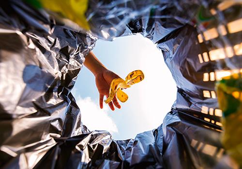 Food waste reduction